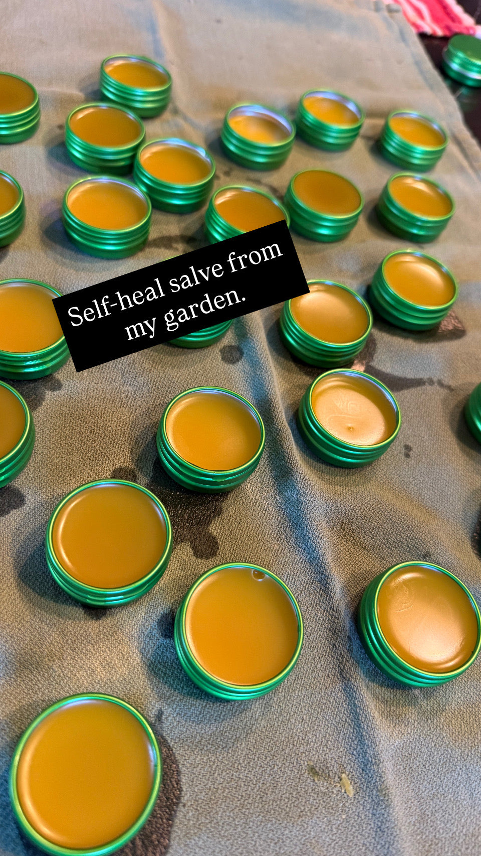 Robin's Homemade "Self-Heal Balm"
